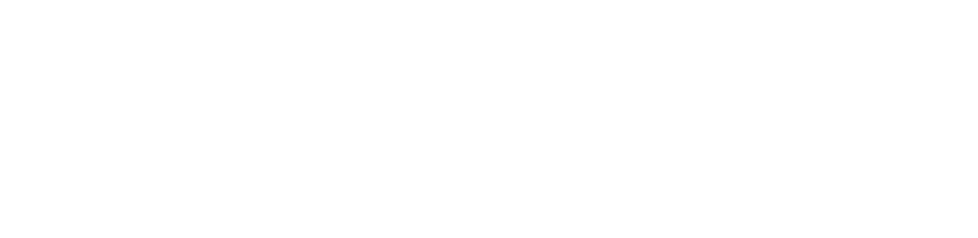 INTNOVA Consulting